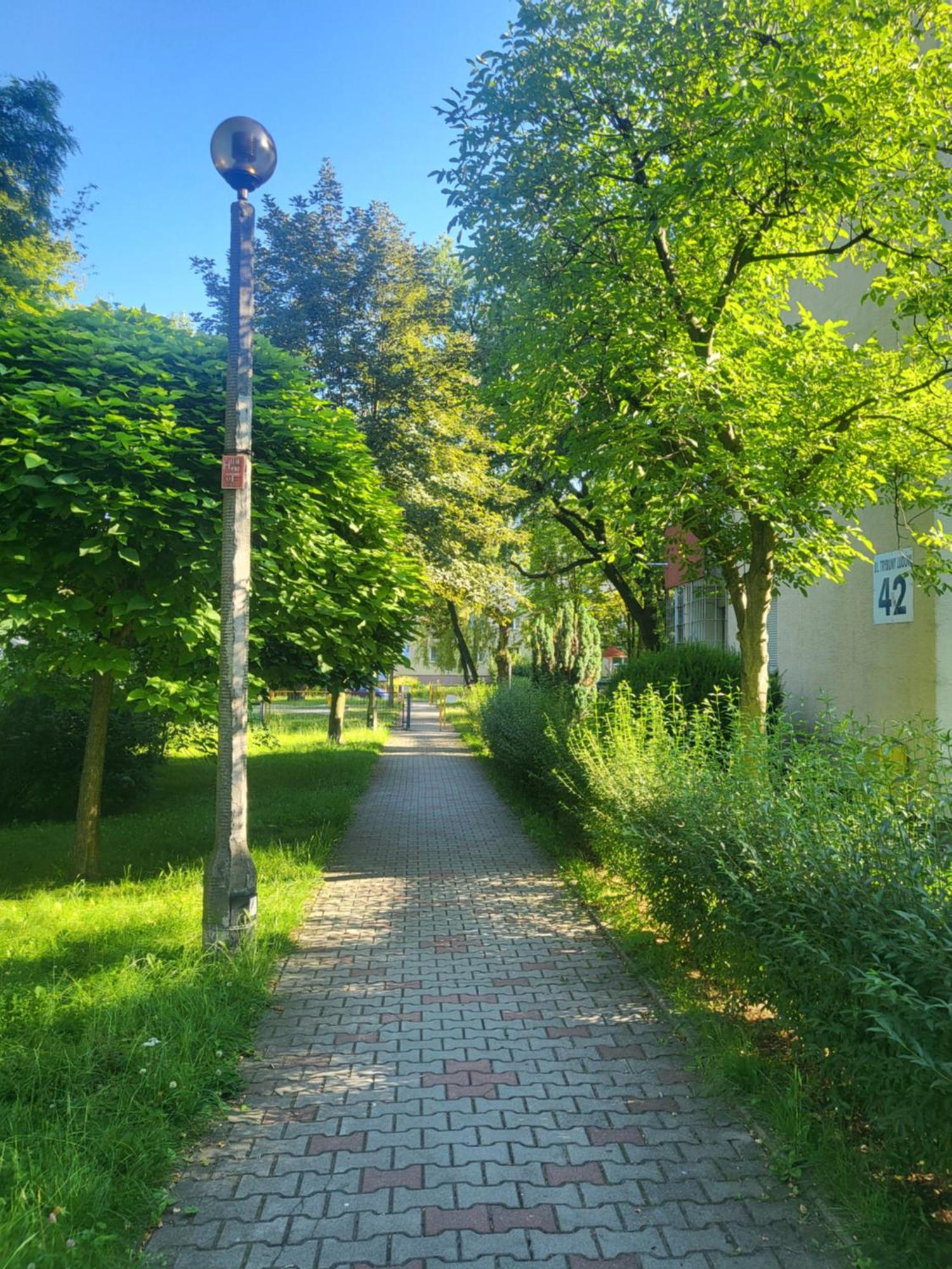 דירות קרקוב Przytulne Mieszkanie Wola Duchacka מראה חיצוני תמונה